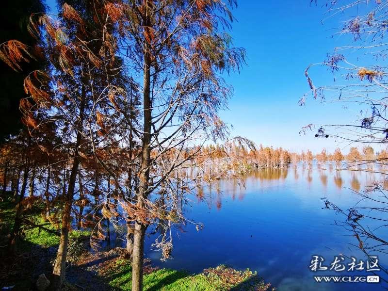 沪江开心词场